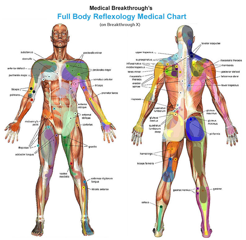 medicalbreakthrough - human full body massage map