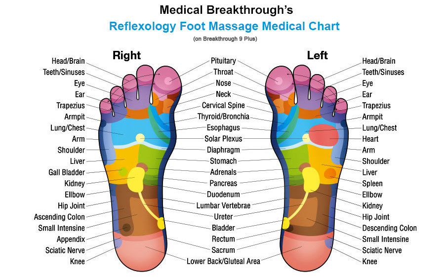 medical breakthrough reflexology foot massage chart