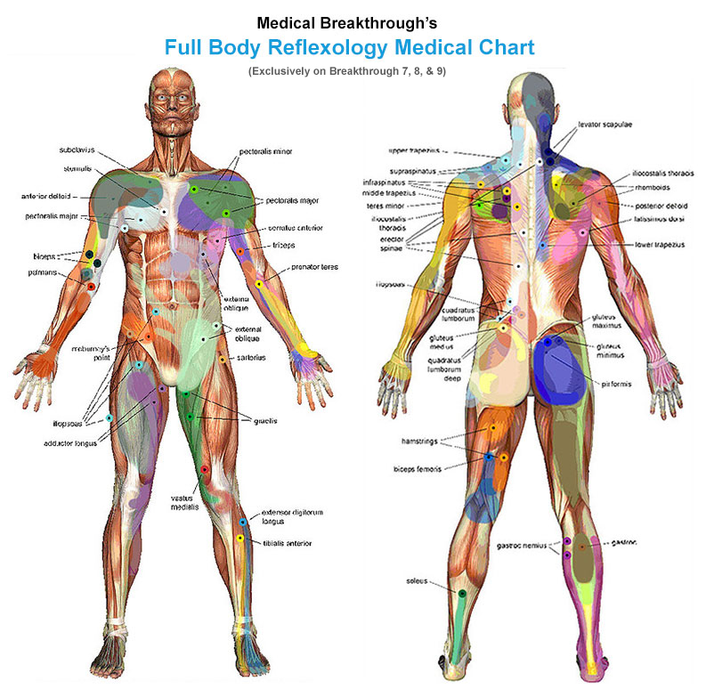 medical breakthrough fullbody reflexology chart